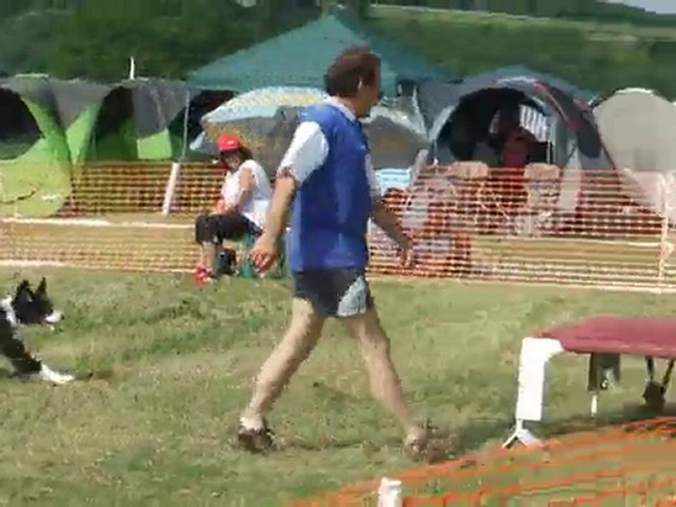 Aika Agility 1 Finale GPF Creusot 2010