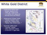 Taku Gold Corp. Presentation - June 2010 - Pt. 1