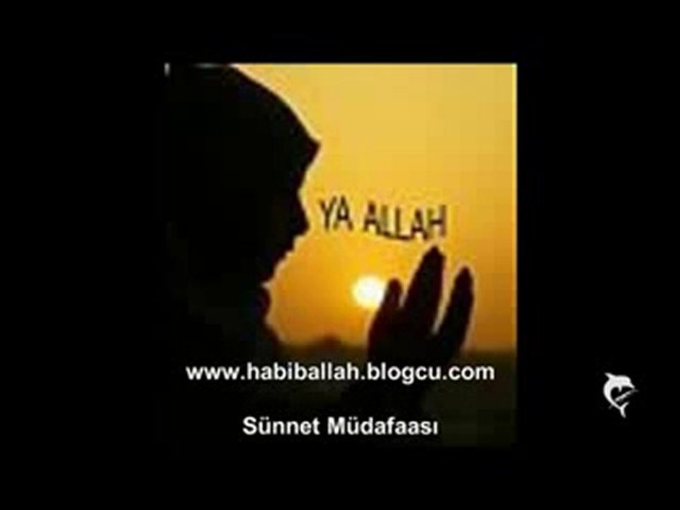 Yandim Kul Kül Gül Oldum - Senai Demirci