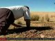 Sequía afecta severamente agricultura del Altiplano bolivia