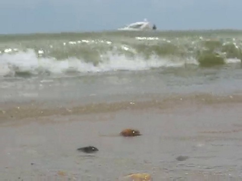 Noirmoutier : vagues