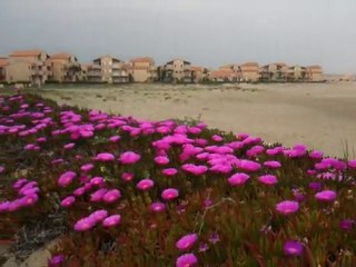 Sur la Plage naturiste d' aphrodite village