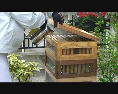 La ruche de la Butte-aux-Cailles