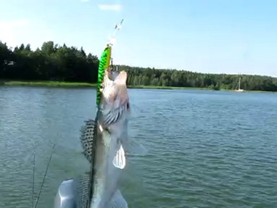 CIFT RAPALALI SUDAK SIRTI  07.07.2010 004