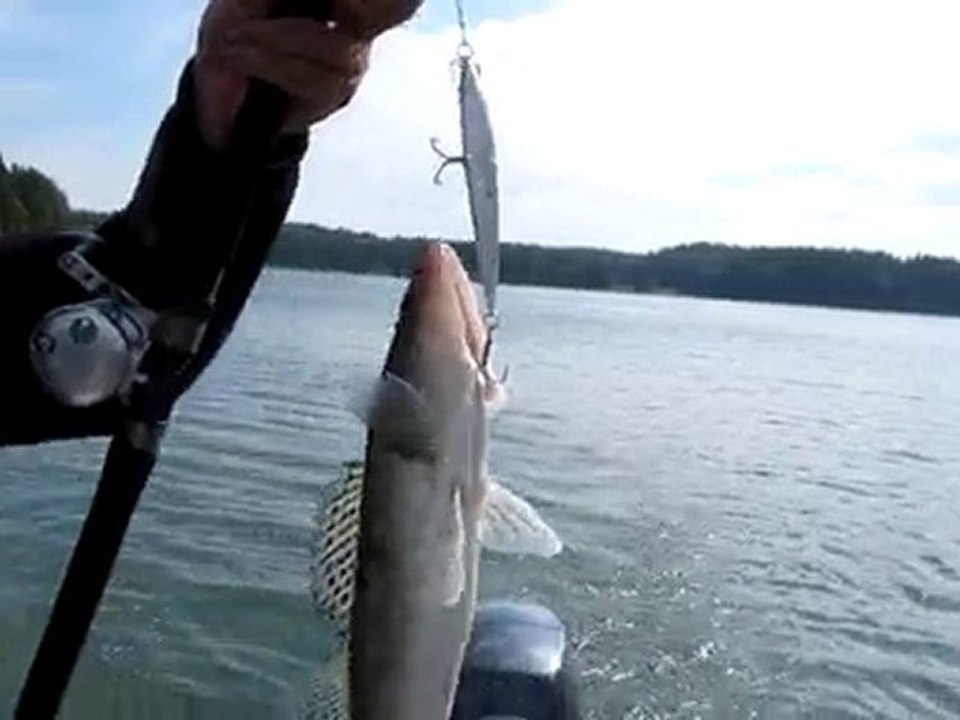 CIFT RAPALALI SUDAK SIRTI  07.07.2010 002