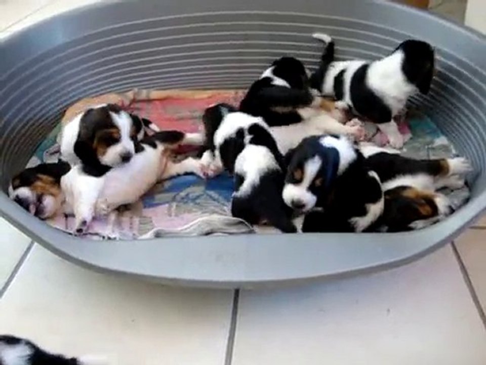 Installation pour la sieste