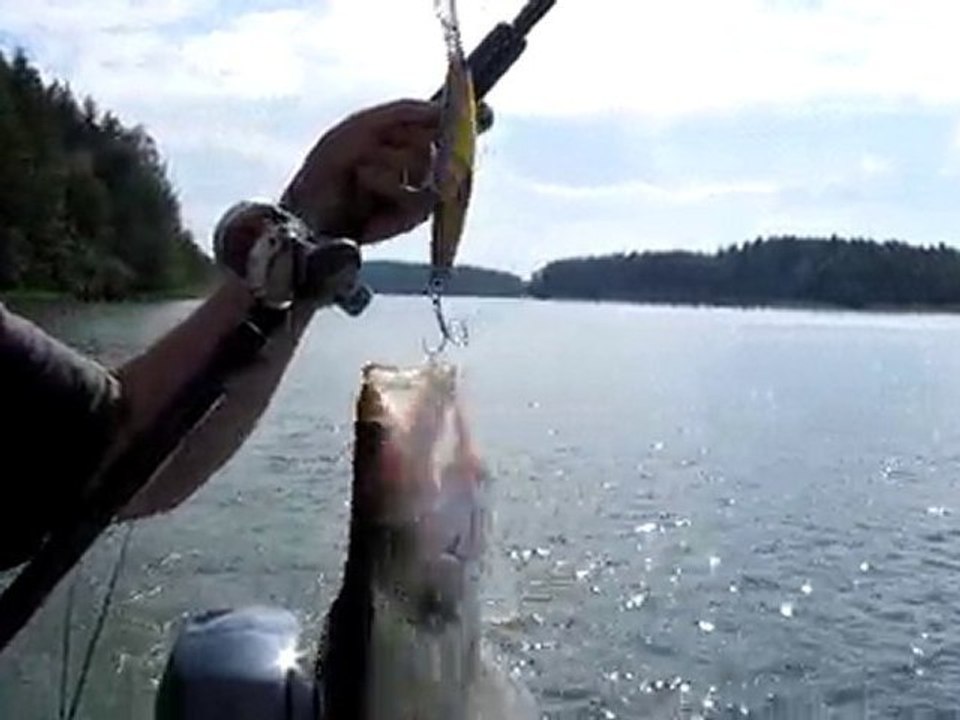 CIFT RAPALALI SUDAK SIRTI  07.07.2010 003