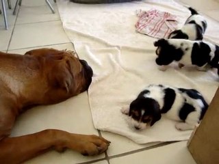 Avec notre Tatie Engoon