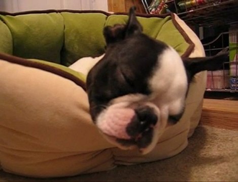 Stop Snoring Treatment and Help For Sleep Apnea