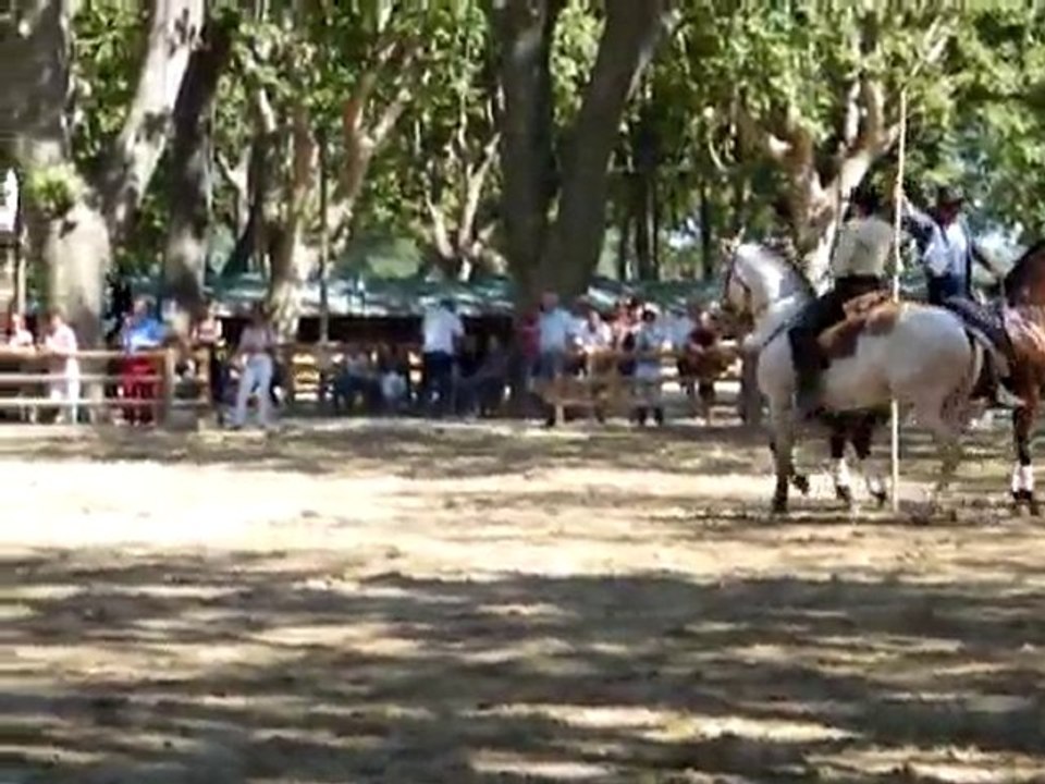 Equipe de France d'équitation de travail Beaucaire 2010