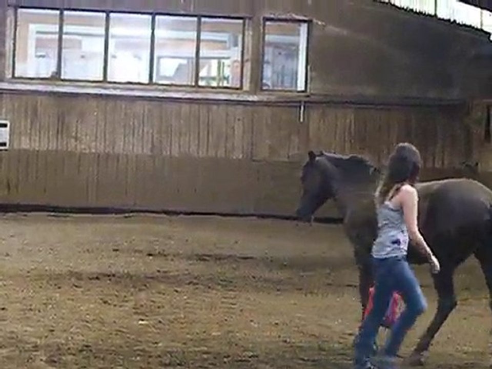 Ondée qui court après le sac =)