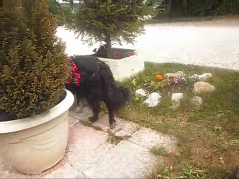 Massiat, Vraiment Du Nimporte Quoi ♥