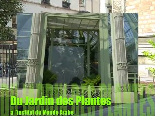 Balade du Jardin des Plantes à l'Institut du Monde Arabe