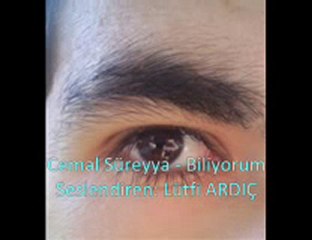 Cemal Süreyya biliyorum şiiri