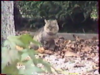 Béarn 1996 Jurançon Wine Review 🍷