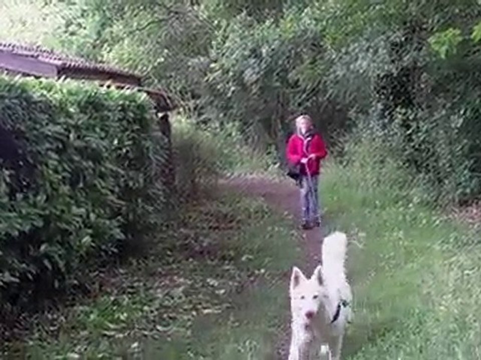 piste de recherche utilitaire