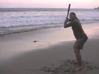 Batting Stance Guy: 2010 All Star Starters