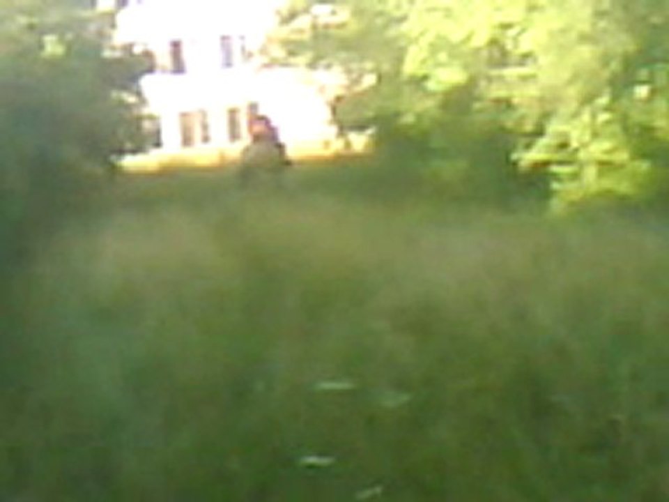 Rocco et moi galop dans le champs !