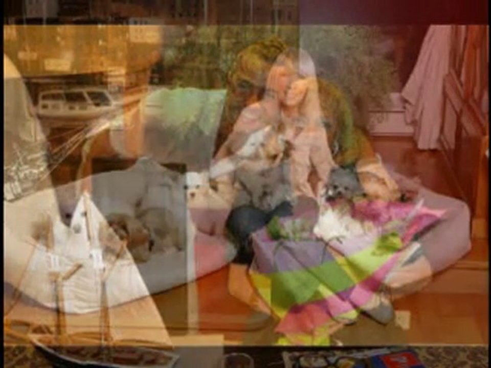 Cédric Paquet : Ma vie pour les animaux