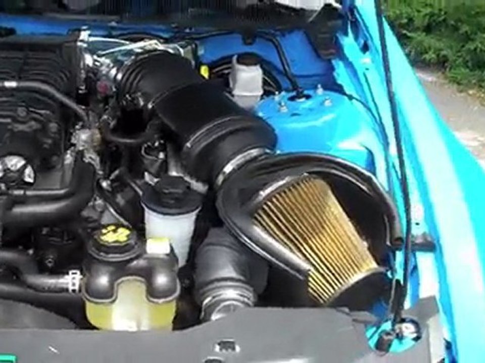 Local Muscle - 2010 Mustang GT500