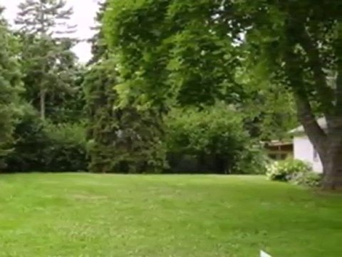 Homes for Sale - 417 S 13th Ave - Saint Charles, IL 60174 -