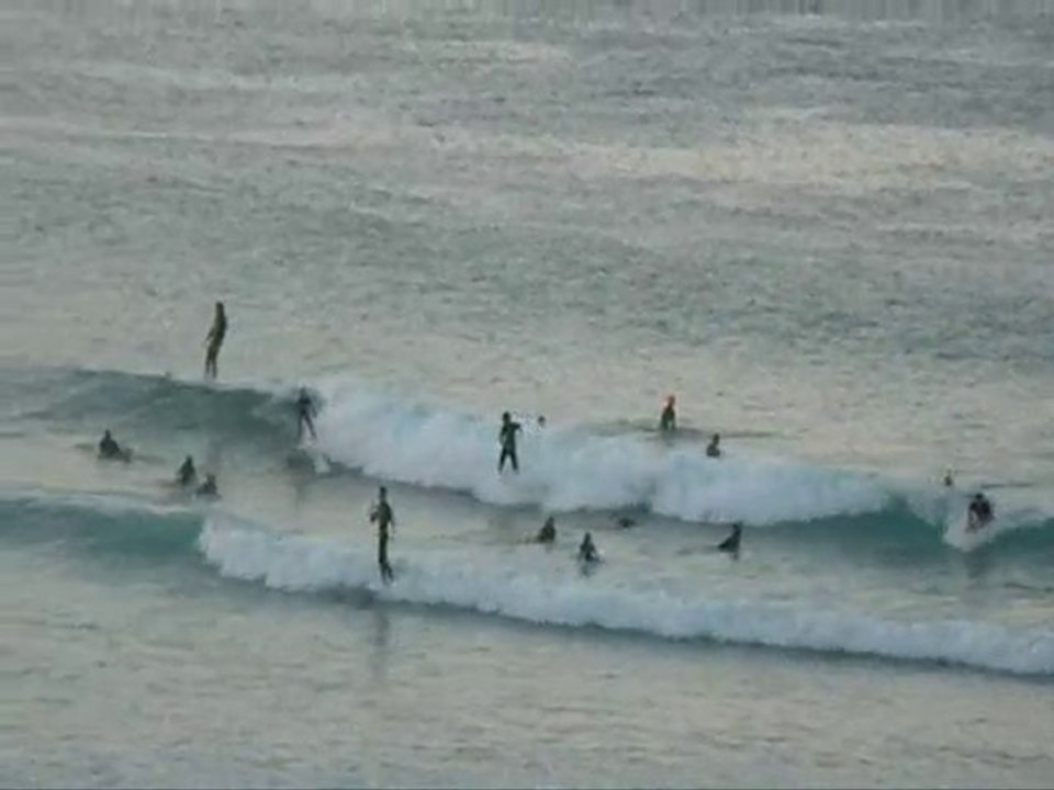 les vrais coolangatta