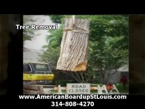 Roof Tarping St Louis | Tree Removal St Louis MO