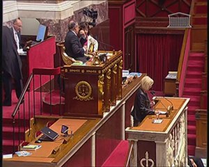 Henriette Martinez - Réforme des collectivtés territoriales