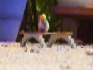 Pétard au 14 juillet