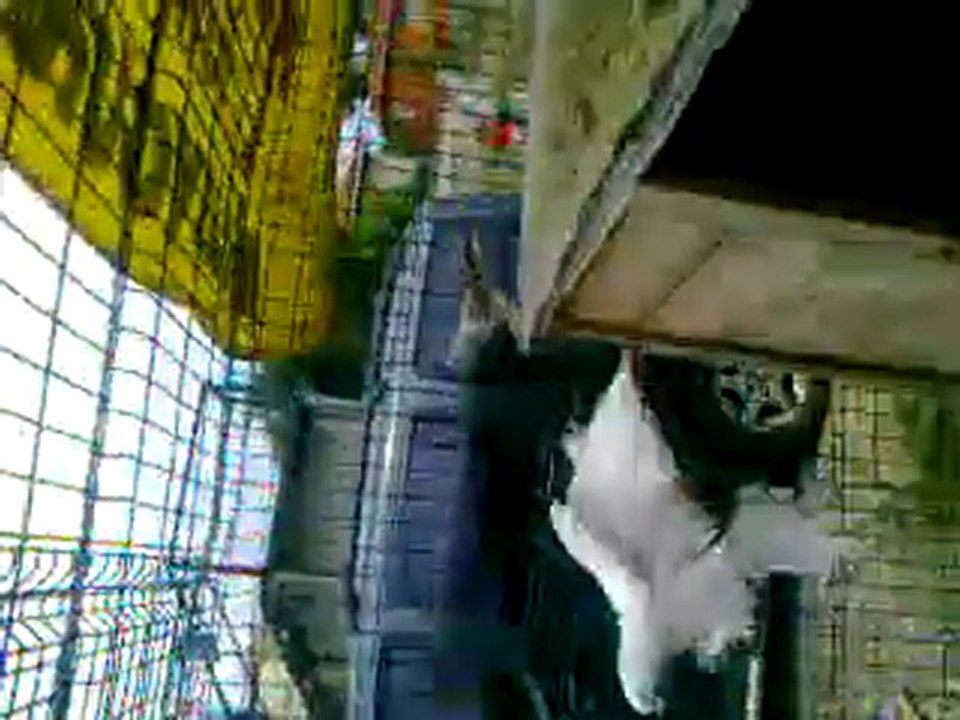 video0001