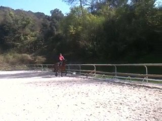 GYVATOP D'AVEN  AA de complement par HAND IN GLOVE 6 ans