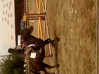 Moi montant Diva au concour d'équifun