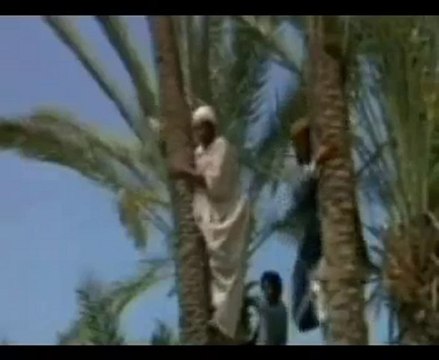 Ya Muhammed Mustafa selami güneş