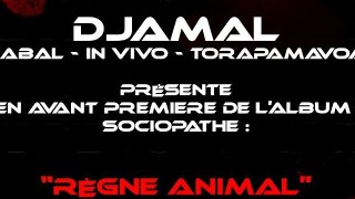REGNE ANIMAL / SOCIOPATHE - Djamal Kabal In Vivo Torapamavoa