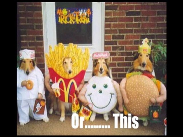 Free Software Download Sites