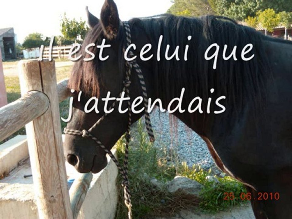 mordred, nuance et akilia