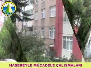 ALAPLI BELEDİYESİ HAŞEREYLE MÜCADELE ÇALIŞMALARI