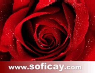 mevladan al mevlaya ver ilahi dinle