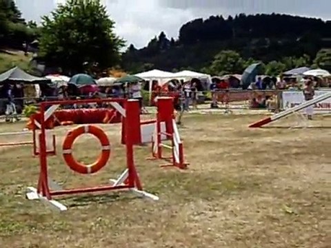 antoine-finale gpf 2010-agility 2