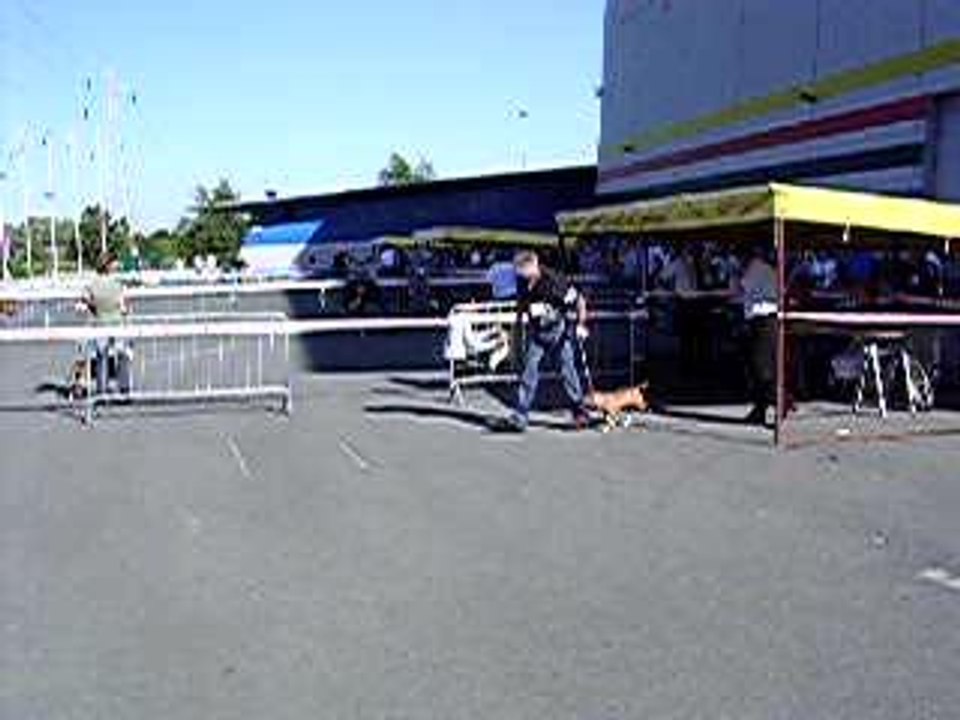 Expo de douai 4
