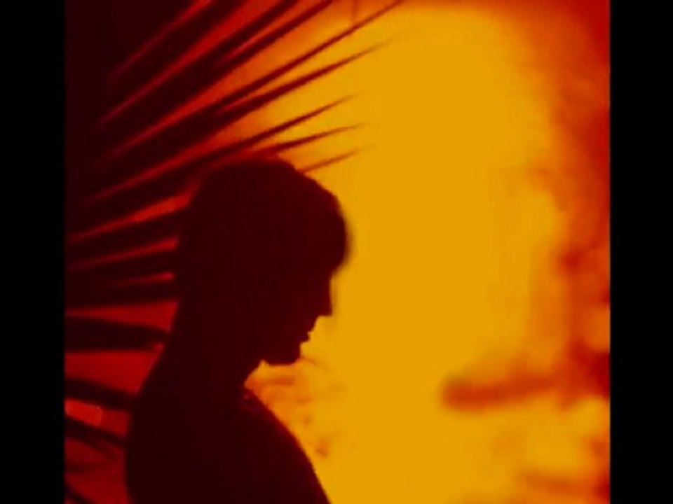 HUSEYİN   ALTIN                  BİR FıRTINAKİBİ GECERMİ SANDIN