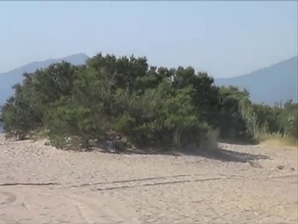 Plage Camping Calagogo Saint-Cyprien Ete 2010