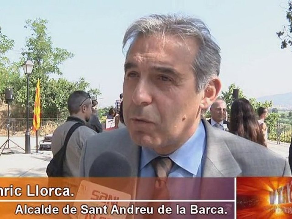 080710 Declaracio alcaldes baix llobregat