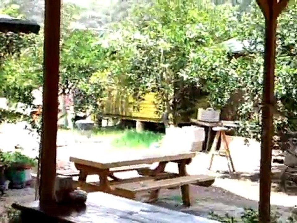 zeytin pansiyon