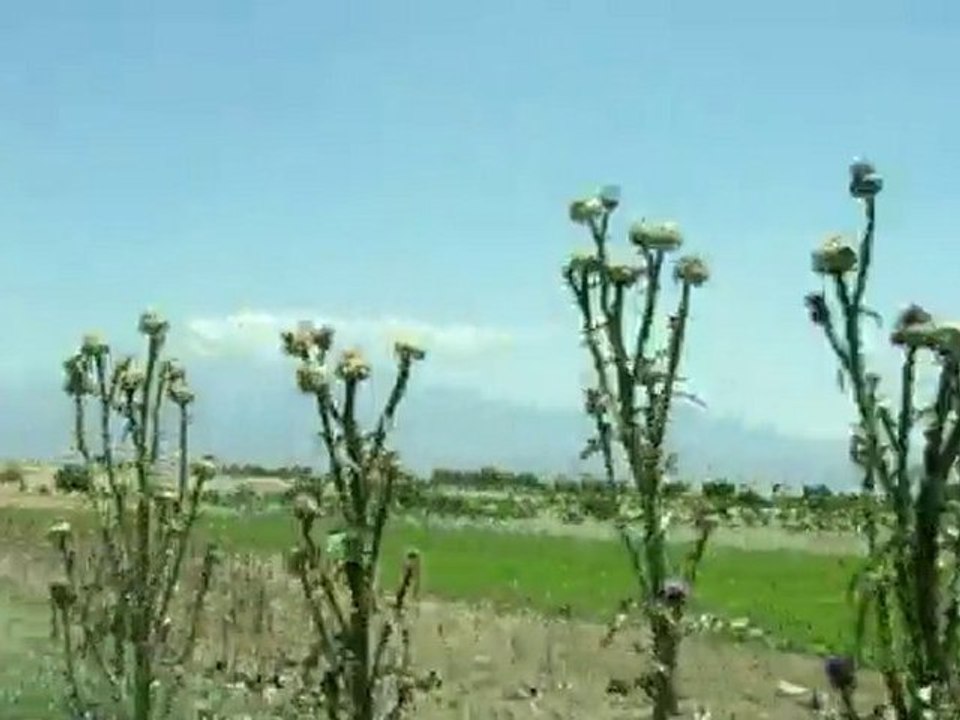 Yavaş tan Erciyes