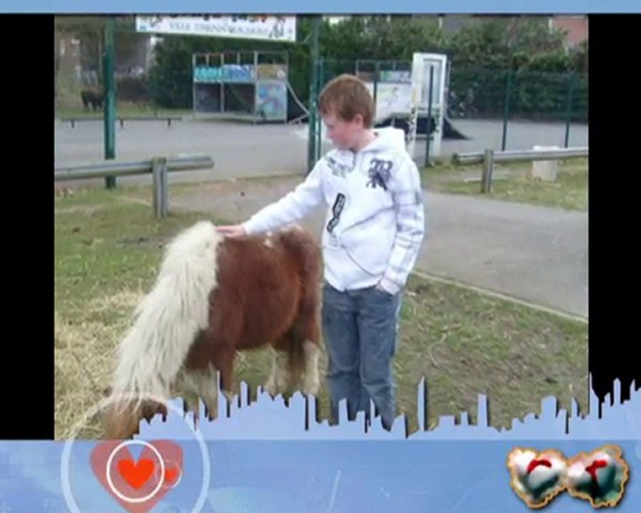 johnny hallyday mon fils  ton fils  a propos de mon père