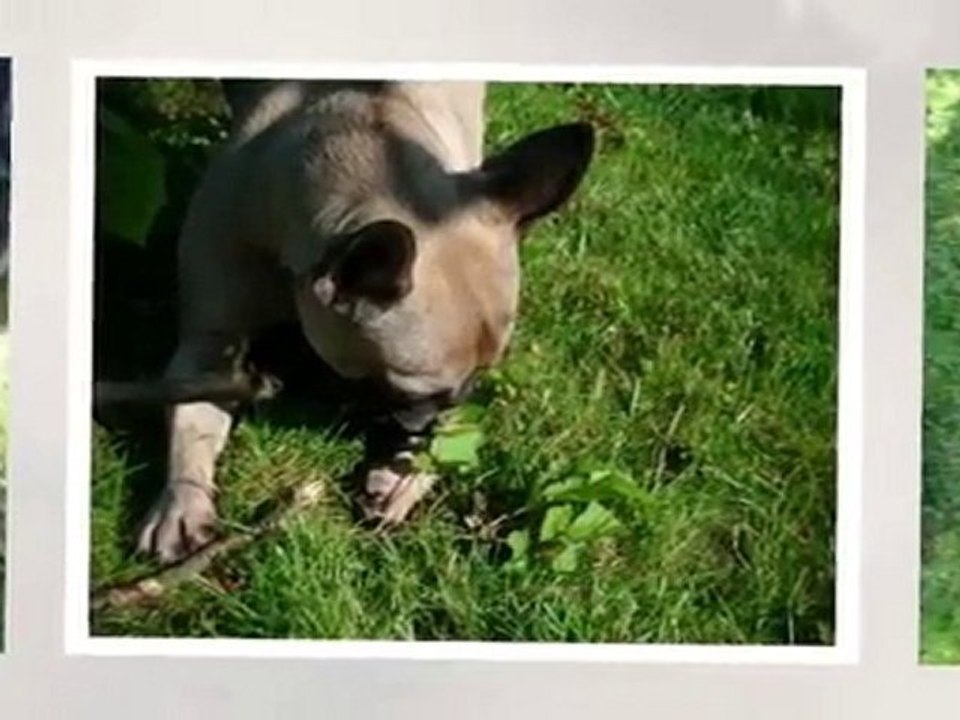 Cannelle mon amour :D ♥
