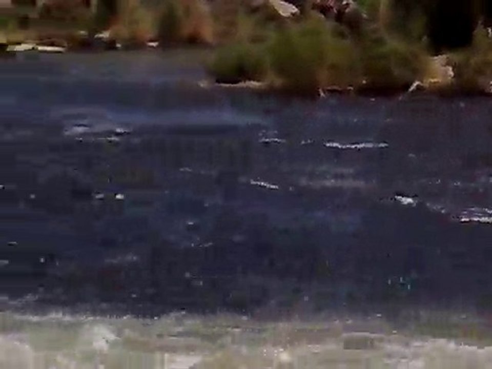 VAN ERCİŞ İNCİ KEFALİ GÖÇÜ