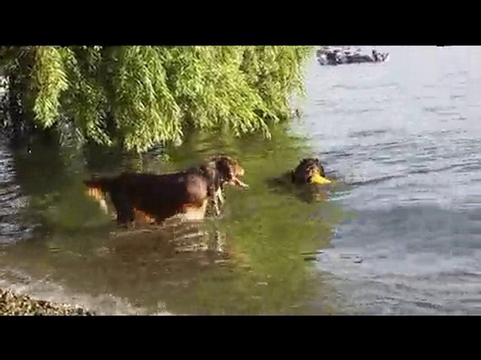 Lac 08.07.10