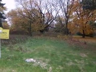 Homes for Sale - 4S 241 MEADOW Road - Naperville, IL 60563 -